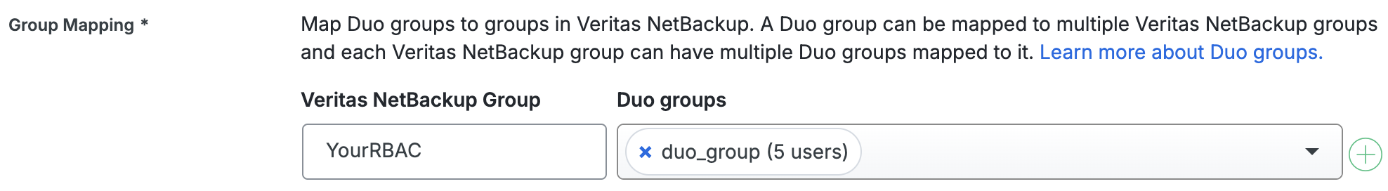 Duo Veritas NetBackup Group Mapping Fields